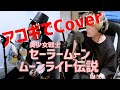 『美少女戦士セーラームーン - ムーンライト伝説』cover by 高高-takataka-