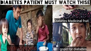 Madicinal Fruit For Diabetes Patient |Jamun| Family Vlog |Seb Naga Family| #Lovemarriege