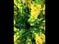 Лайфхак снять красивое видео с эффектом дождя ☔️ 📹 💡