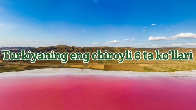 Lesbian mushuk porno video: baxt Chiroyli qora mushuk