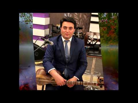 Gözüna qurban (H.Xanmammadov) -Rashad İbrahimov (Solo Tar)