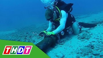 Cuối tháng 3 sẽ khắc phục xong sự cố đứt cáp quang APG | THDT