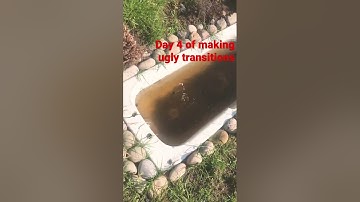 Day 4 of making ugly transitions #shorts #transition