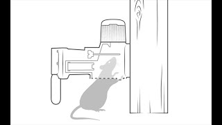 What is a humane mouse trap, and why does it matter? · Goodnature