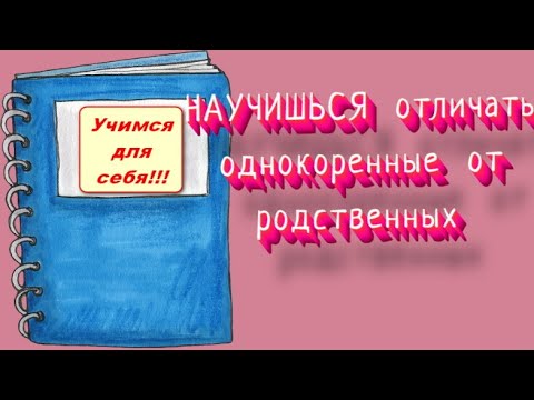 ПОСМОТРИ РОЛИК и СРАЗУ УЗНАЕШЬ, как ОТЛИЧИТЬ ОДНОКОРЕННЫЕ РОДСТВЕННЫЕ слова  от просто ОДНОКОРЕННЫХ