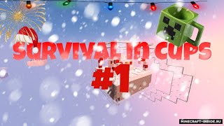 ВЫЖИВАНИЕ НА МОЕЙ КАРТЕ SURVIVAL IN CUPS!