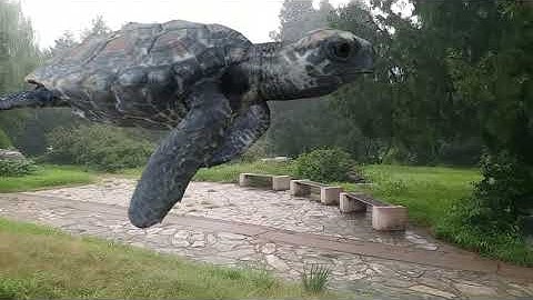 This cute turtle flies into the woods to play #animal #3danimation #specialeffects #vfx #3dmodeling