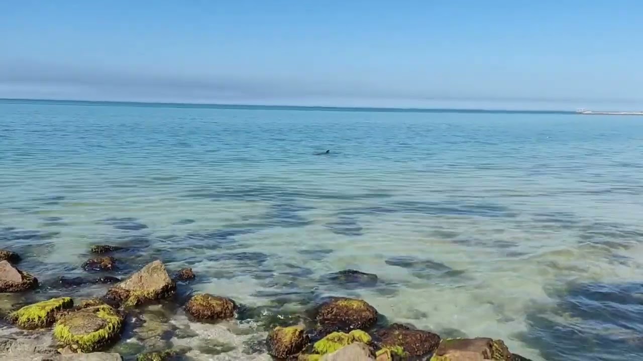 Херсонское море Херсонское море