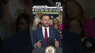 VP Vance calls El-Sayeds politics evil, warns it could pit Americans against each other