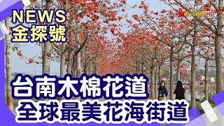 春天出遊秘境| 台南白河木棉花道台南學甲蜀葵花【News金探號】