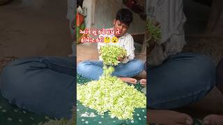 Download Lagu Bhal nu kai Mumbai layo #trending #viralsong #youtubeshorts #instrumental #trinding #music #love MP3