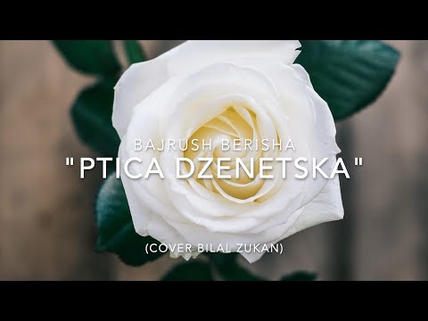 Bajrush Berisha - Ptica Dzenetska (Cover Bilal Zukan)