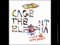 Cage The Elephant - Shake Me Down (Lyrics)