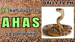 16 kahulugan ng AHAS sa panaginip #ahassapanaginip #kahuluganngahassapanaginip