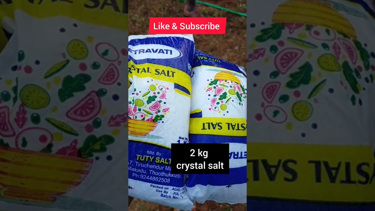 Benefits of Rock Salt for Coconut Trees🌴 