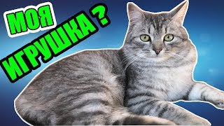 Любимая игрушка кота Матроса. Приколы с котами by FANVIDOS - Милые котики 24,148 views 5 years ago 3 minutes, 55 seconds
