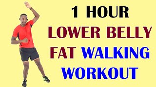 1 Hour LOWER BELLY FAT Walking Workout at Home  7,000 Steps  550 Calories