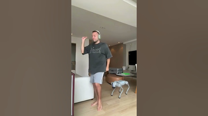 Tive que reviver essa trend com meu cachorro de 40 mil reais