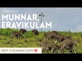 MUNNAR DAY 2💖 SHAMROCK ☘️ RESORT| Eravikulam National Park