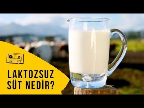 LAKTOZ NEDİR / Laktozsuz Sütün Faydaları Nelerdir