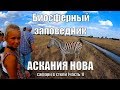 Биосферный заповедник Аскания-Нова | что посмотреть | сафари в степи (часть первая)