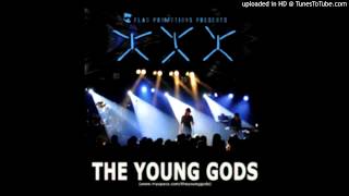 The Young Gods Gasoline man acoustic