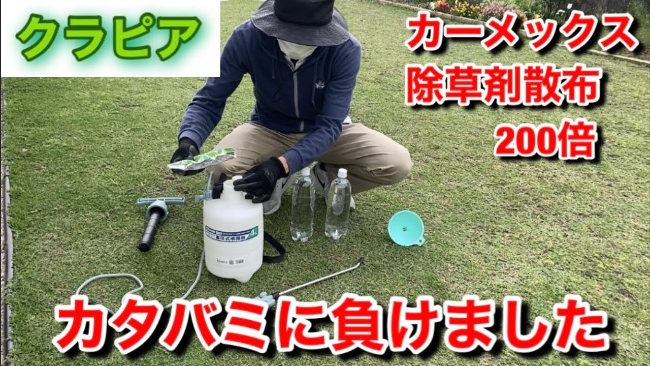 週末クラピアガーデニング 梅雨前にやって カタバミ根絶 Youtube