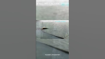 QUOTEX BOT 2026: The Wait Is Over: The Official Bot is Released #shorts