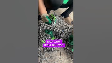 CẠM BÁN NGUYỆT BẪY CÒ VẠC CHIM CHUỘT HIỆU QUẢ CHẤT LƯỢNG LH 0984.800.966