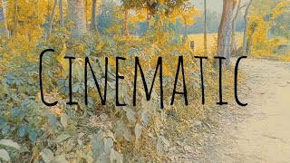 Cinematic Color Grading in Kinemaster|| ভিডিও এডিটিং মোবাইল দিয়ে || Part-20 ||techZone