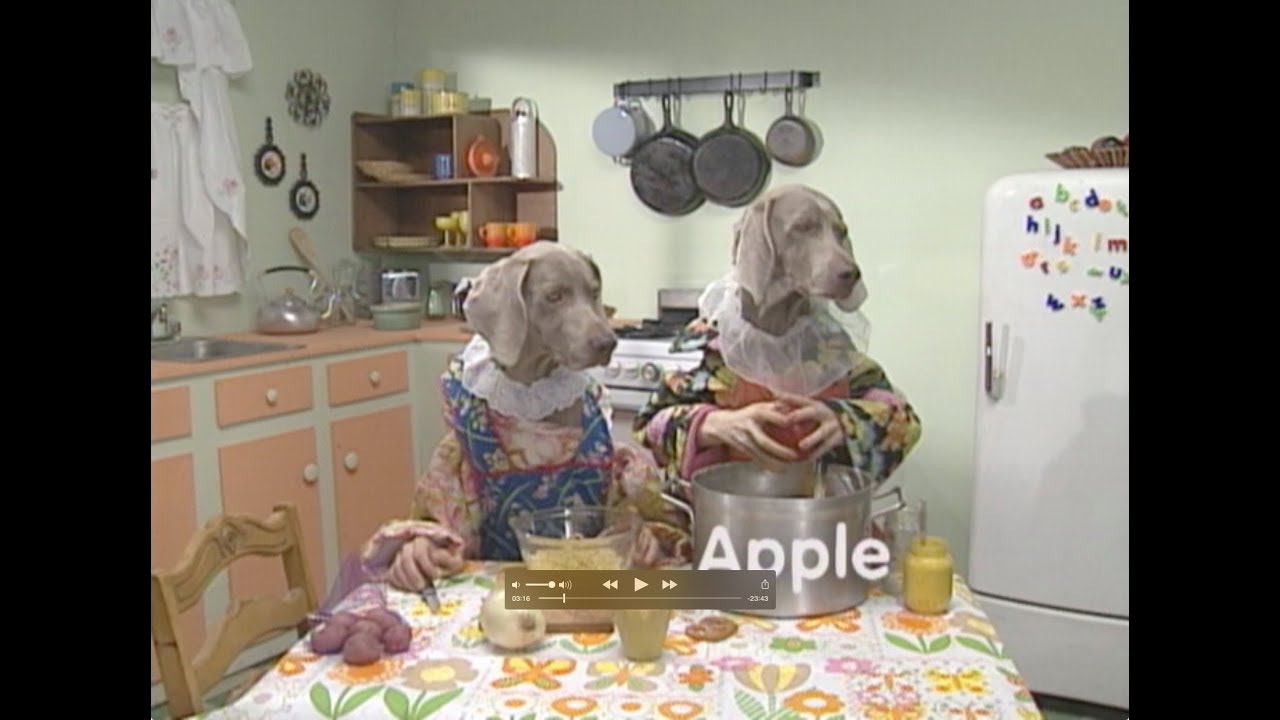 William Wegman Alphabet Soup YouTube