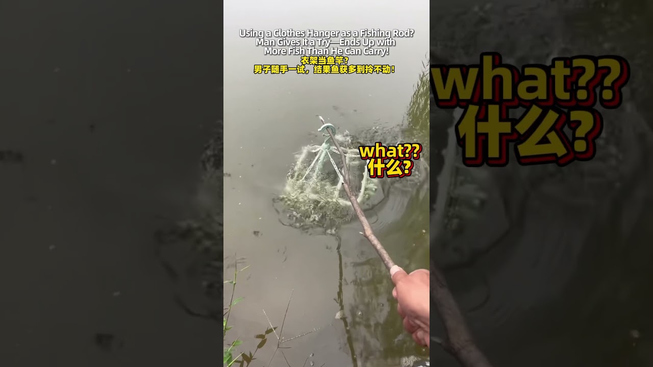 Netizen: “Then what was the point of my ¥100+ fishing rod?” 