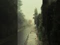 #afterrain