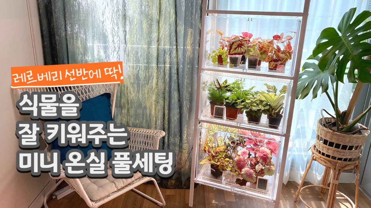 이케아 레르베리 선반에 딱 맞는 미니 온실 풀세팅 