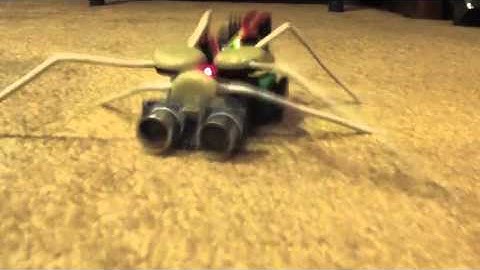 White Legged Spider Monkey Hexapod Object Avoidance Working