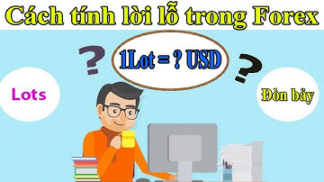Forex #6: Lot là gì ? Cách tính lợi nhuận và đòn bảy trong Forex