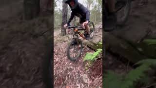 Raw clips from the local #bike #mtb #dhmtb #mountainbike asmr #downhill #mtbmonster #mtbpro #mtbfun