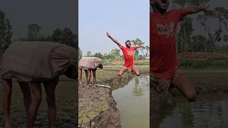 The Cow Came From Behind And Threw It Away