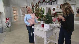 Peace Love World Set of 6 Affirmation Ornaments on QVC