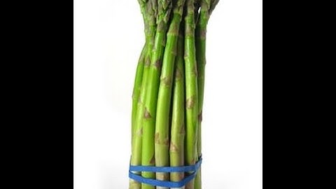 SimplyHCF - Hacking Montage #12