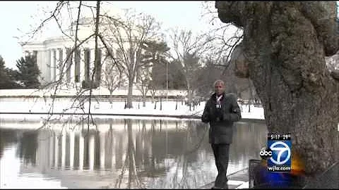 Cherry blossom peak bloom predicted from April 8-12