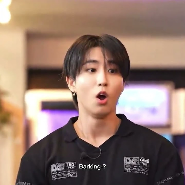 Han's special talent 💀⁉️ #straykids #han #epikhigh #bangchan #changbin #barkingsession