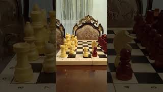 как играть в шахматы с нуля урок