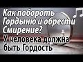 Как побороть Гордыню и обрести Смирение? У человека должна быть Гордость! Святые отцы