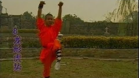 Shaolin leopard kung fu