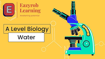 Water - A Level Biology - The importance of water
