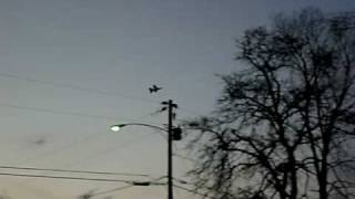 megatech interceptor 2 channel rc airplane video 2