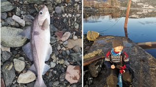 Norway, Fishing 峡湾钓鱼\/挪威鳕鱼torsk