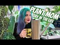 A day in the life of a plant mom caring for my rare plants