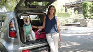 Emergency Preparedness with Pets: Advance planning tips to stay together and stay safe.